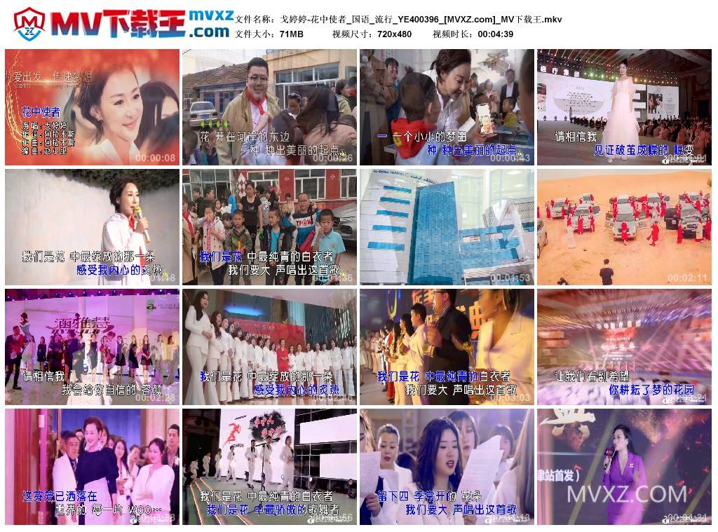 戈婷婷-花中使者_国语_流行_YE400396